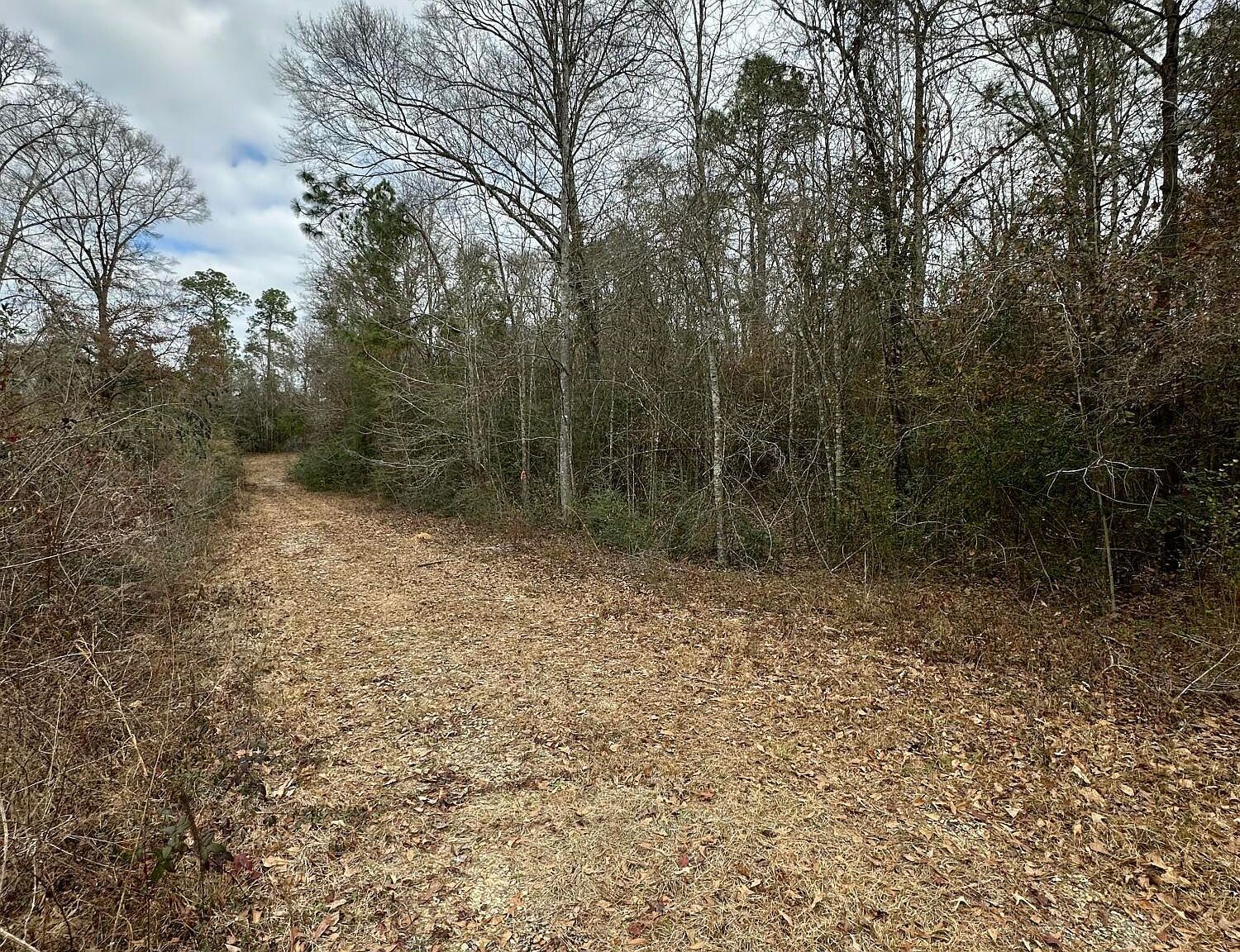 0 Barbara Ln S Lumberton, MS 39455 - Thumbnail 3