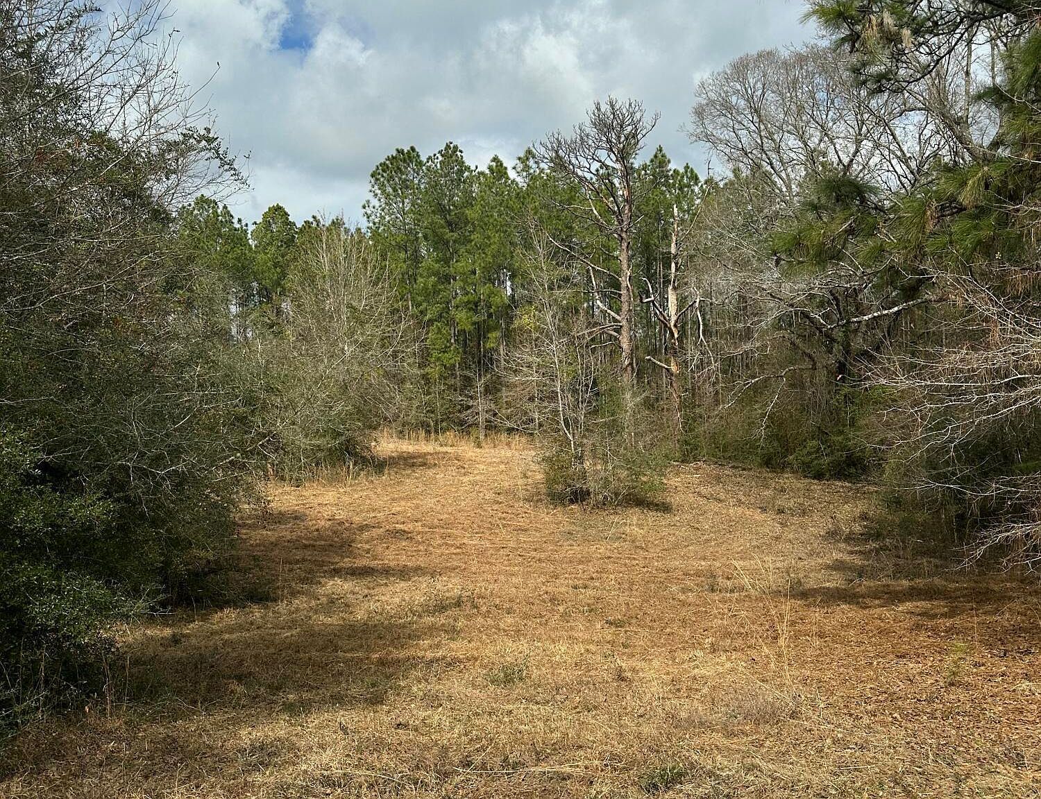 0 Bisbee Dr Lumberton, MS 39455 - Thumbnail 3