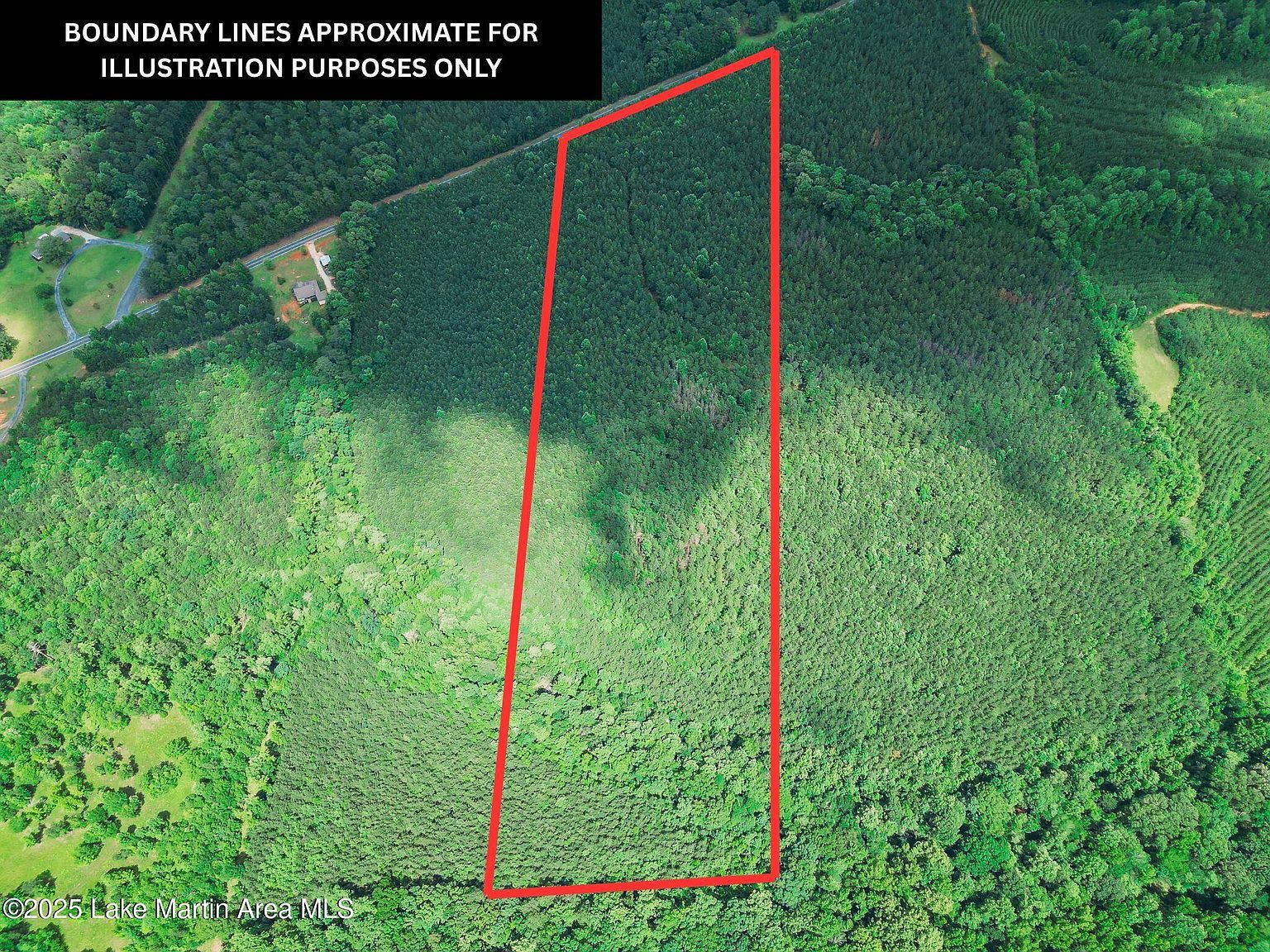 PARCEL 2 Highway 63 N Goodwater, AL 35072 - Thumbnail 3