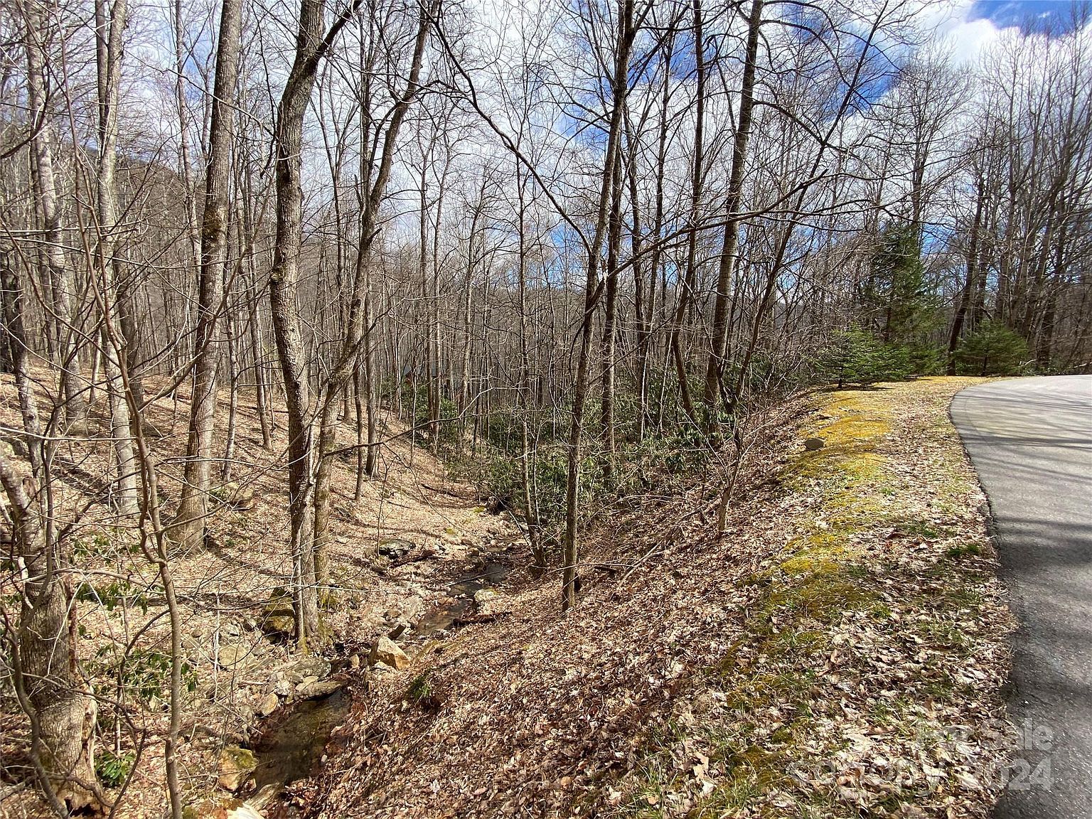 29 Wood Haven Ln #209 Black Mountain, NC 28711 - Thumbnail 3