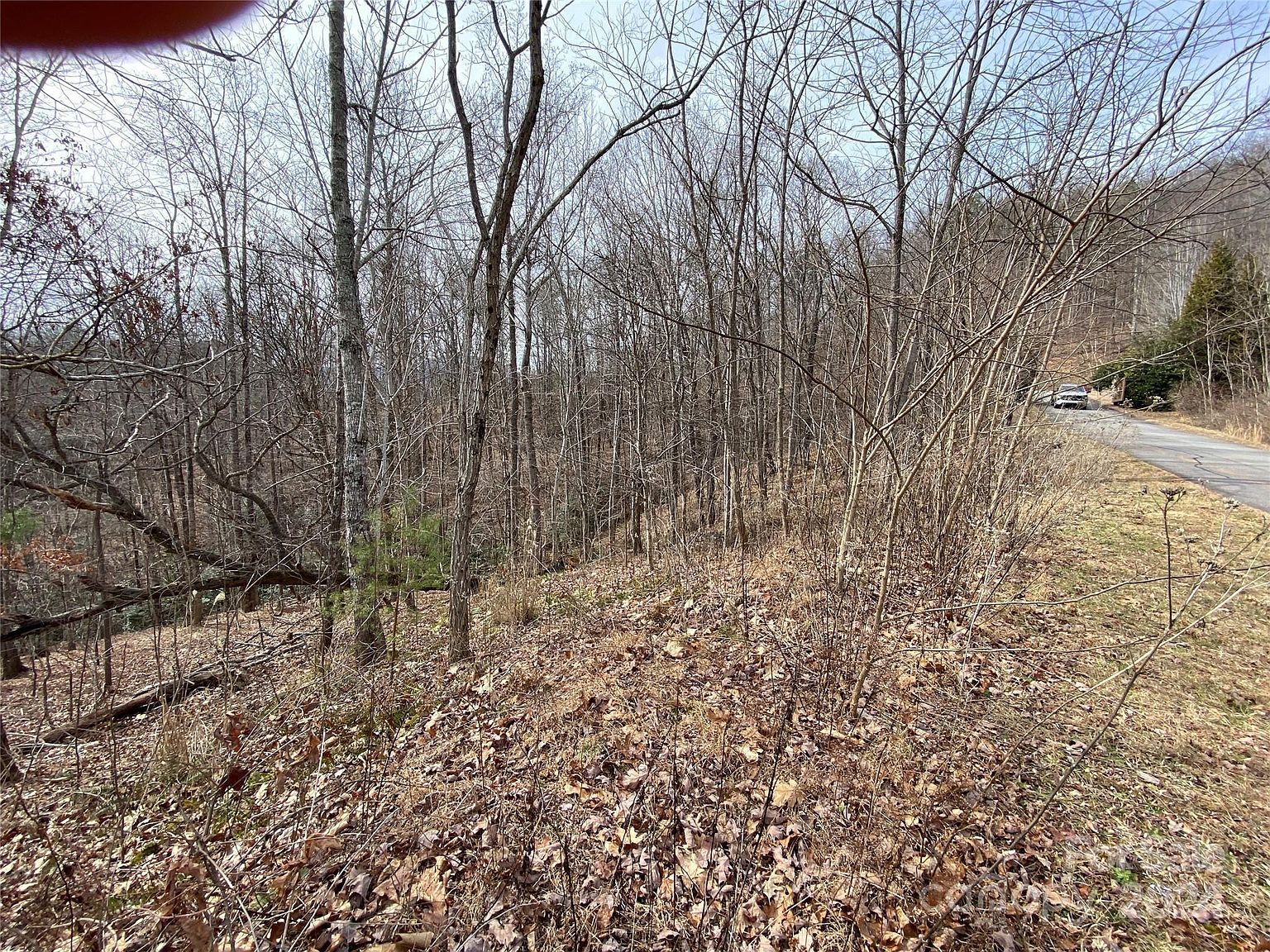 46 Holmstead Dr #46 Lake Lure, NC 28746 - Thumbnail 3