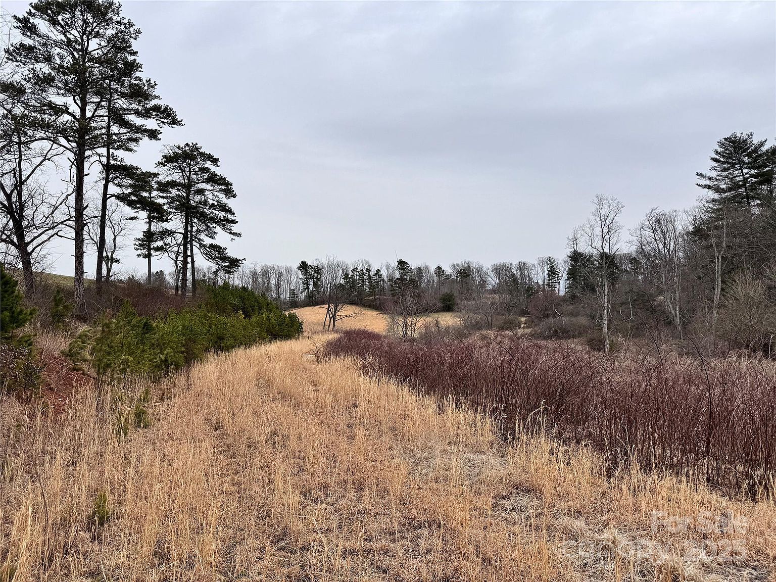 38 Flourish Farm Ln Asheville, NC 28806 - Thumbnail 3