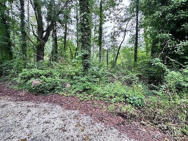 0 Glengary Dr #79 Flat Rock, NC 28731 - Thumbnail 3