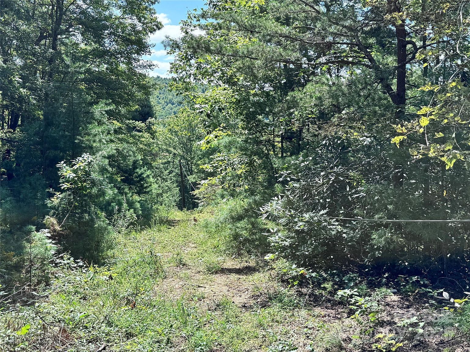 270 S Jarvis Dr Hendersonville, NC 28792 - Thumbnail 3