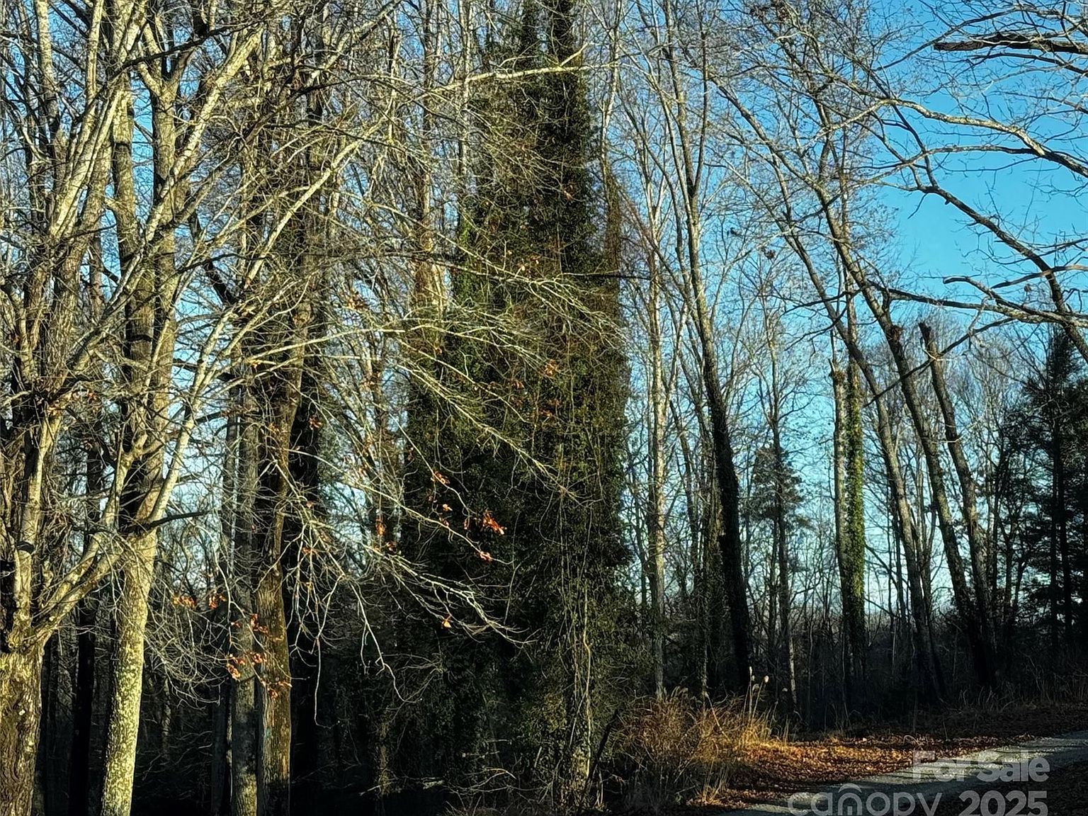 0 N Westview Ct #14 Fletcher, NC 28732 - Thumbnail 3