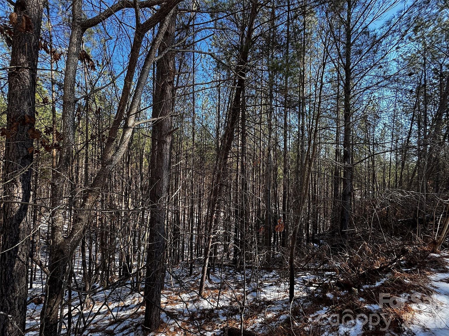 5 Geebees Way Mill Spring, NC 28756 - Thumbnail 3