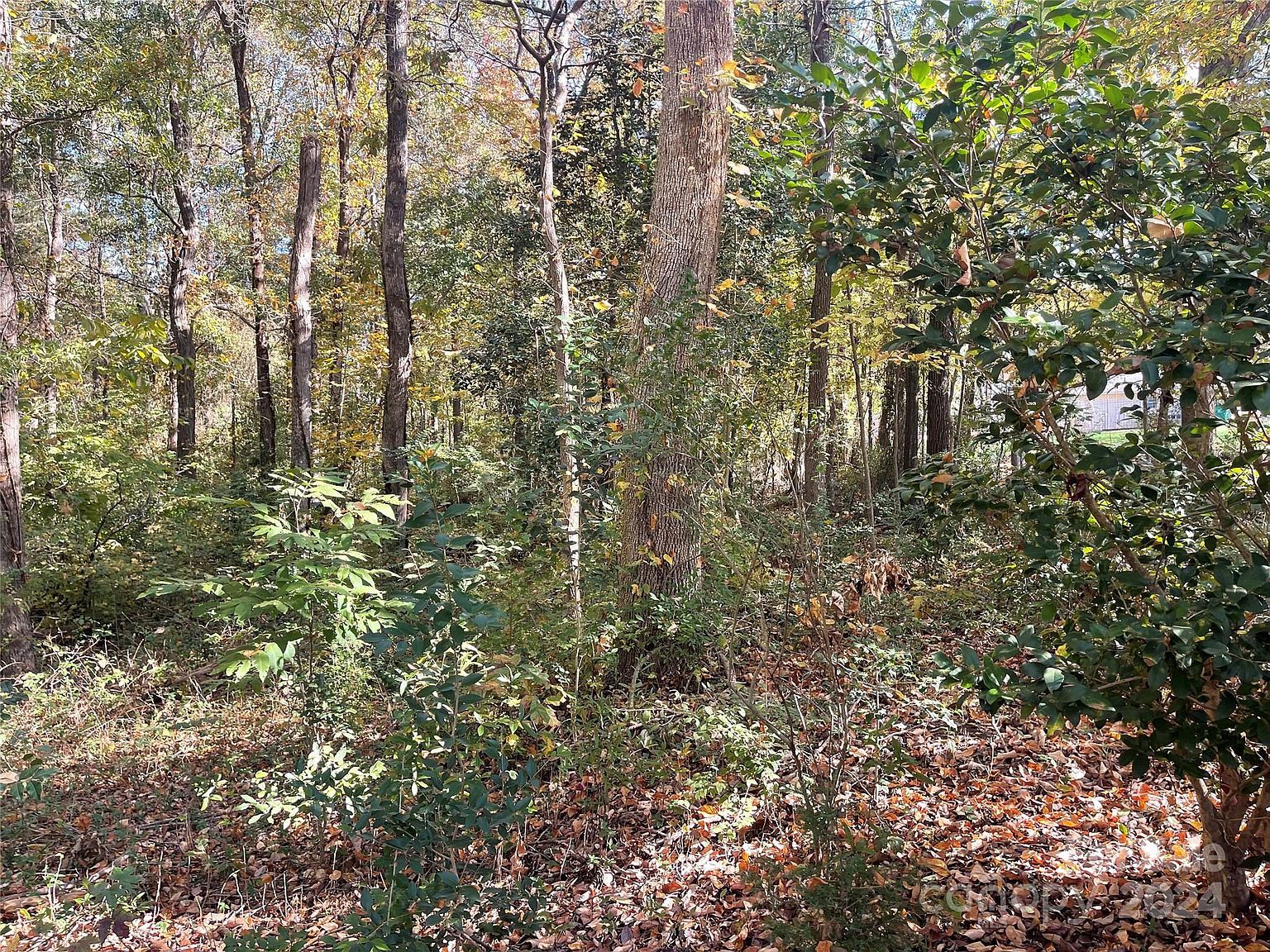 6330 Sunset Cr Charlotte, NC 28216 - Thumbnail 3