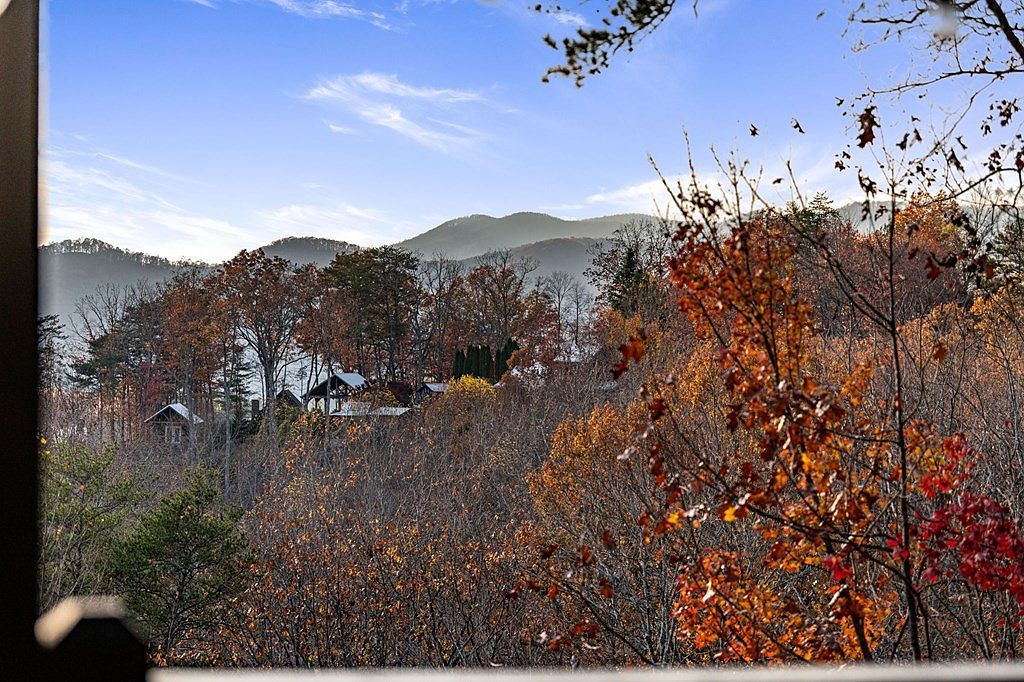 100 Smith Hill Rd Cherry Log, GA 30522 - Thumbnail 3