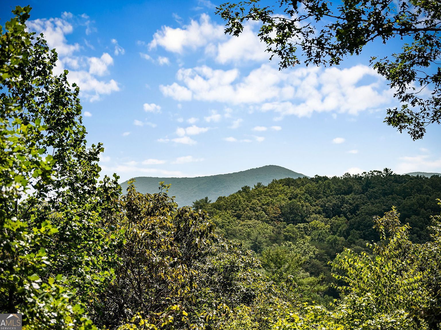 170 Dustin Dr N Ellijay, GA 30540 - Thumbnail 3