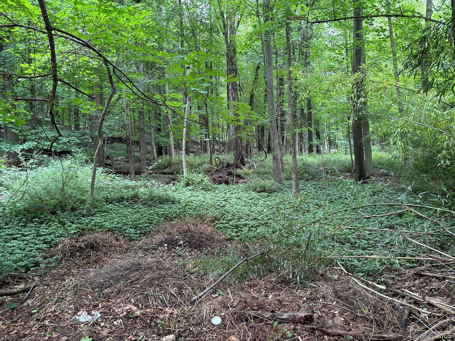 163 Green Ln Bedford Hills, NY 10507 - Thumbnail 3