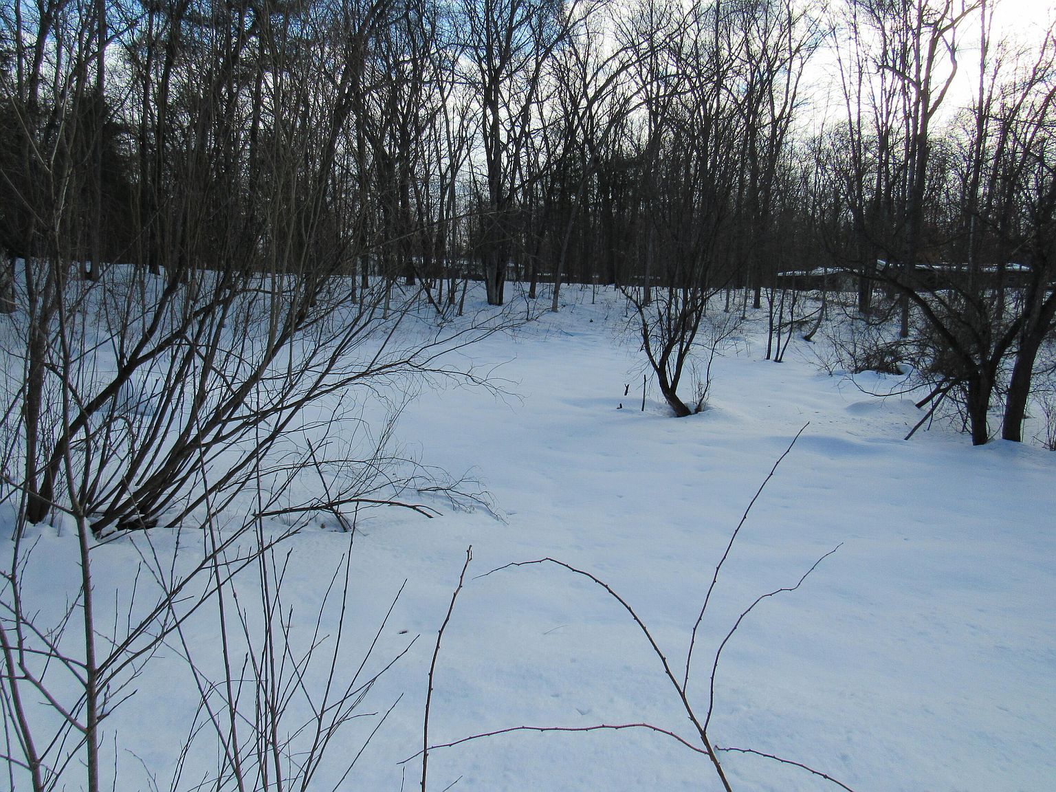 Marion St Wellston, MI 49689 - Thumbnail 3