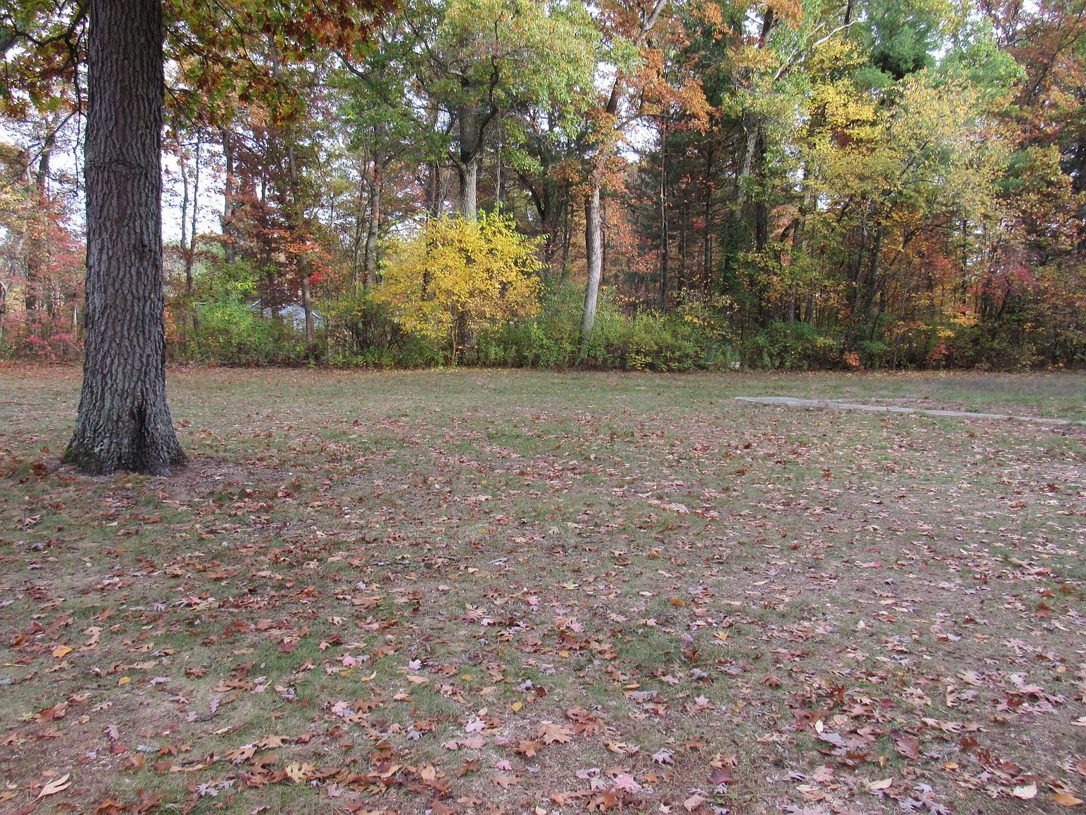 4015 Wilson Beach Rd Twin Lake, MI 49457 - Thumbnail 3