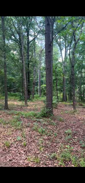 569 Cook Drive, Ellenwood, GA, USA, 30294 - Thumbnail 3