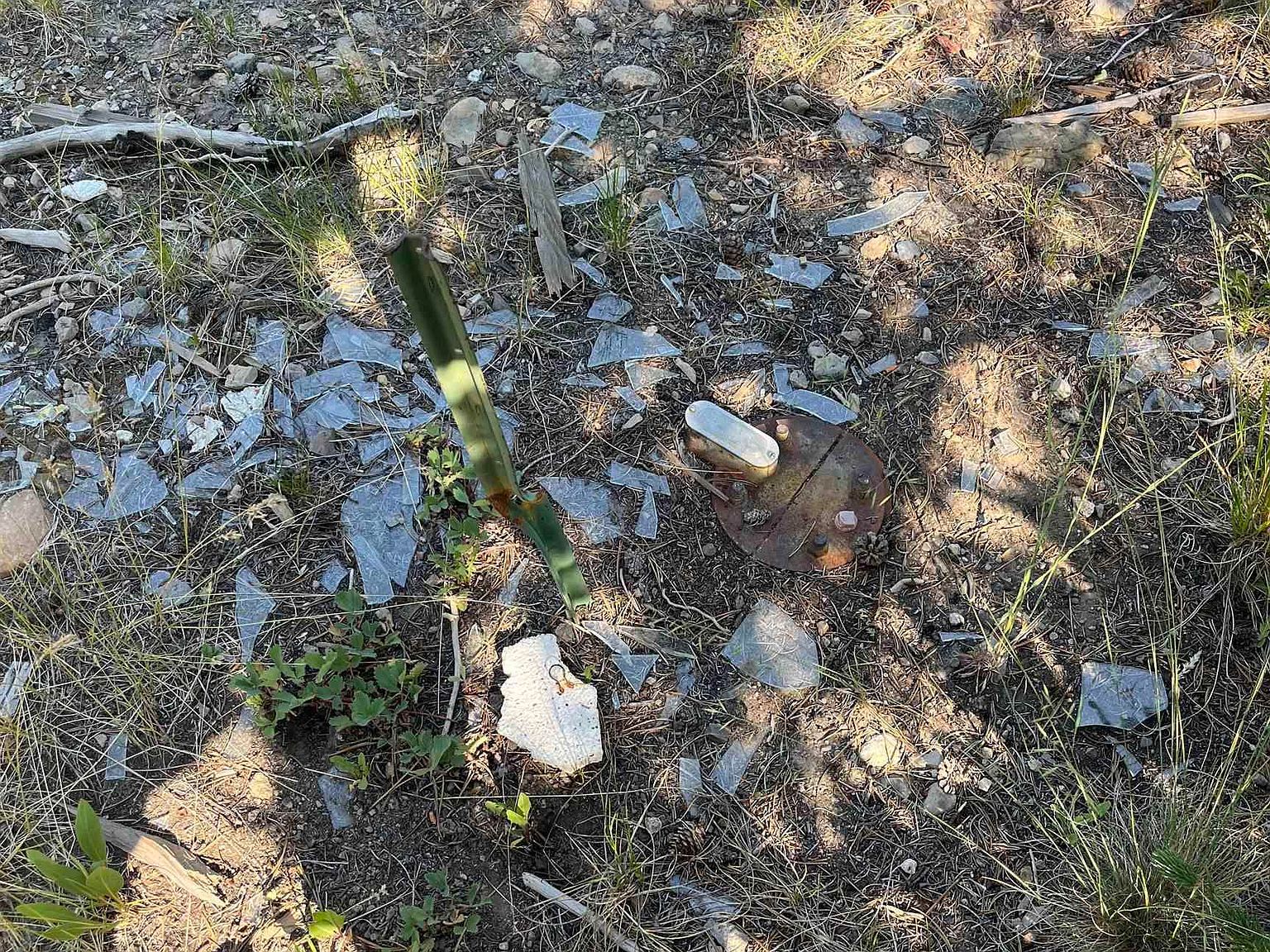 773 Smiley Creek Rd Sawtooth City, ID 83340 - Thumbnail 3