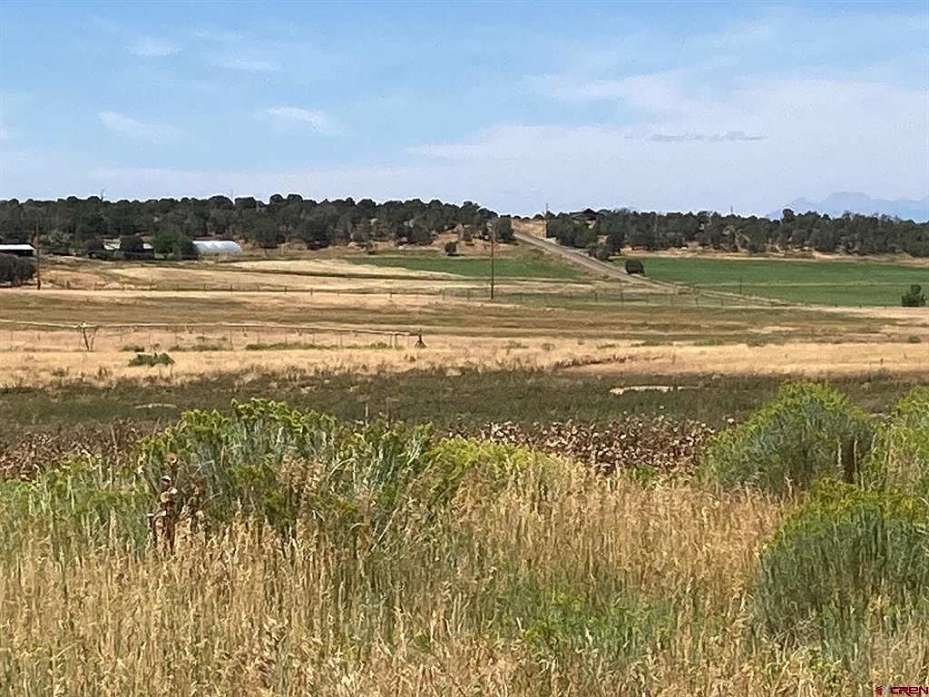 42Z South Rd Norwood, CO 81423 - Thumbnail 3