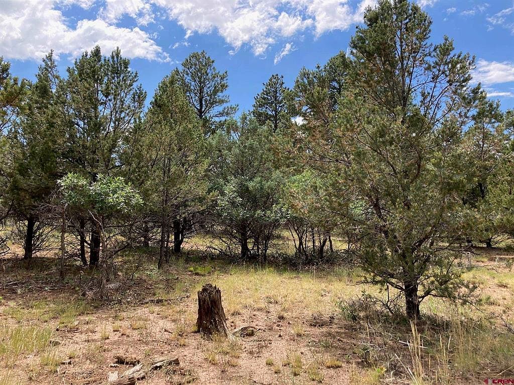 LOT 422 Badger Trl S Ridgway, CO 81432 - Thumbnail 3