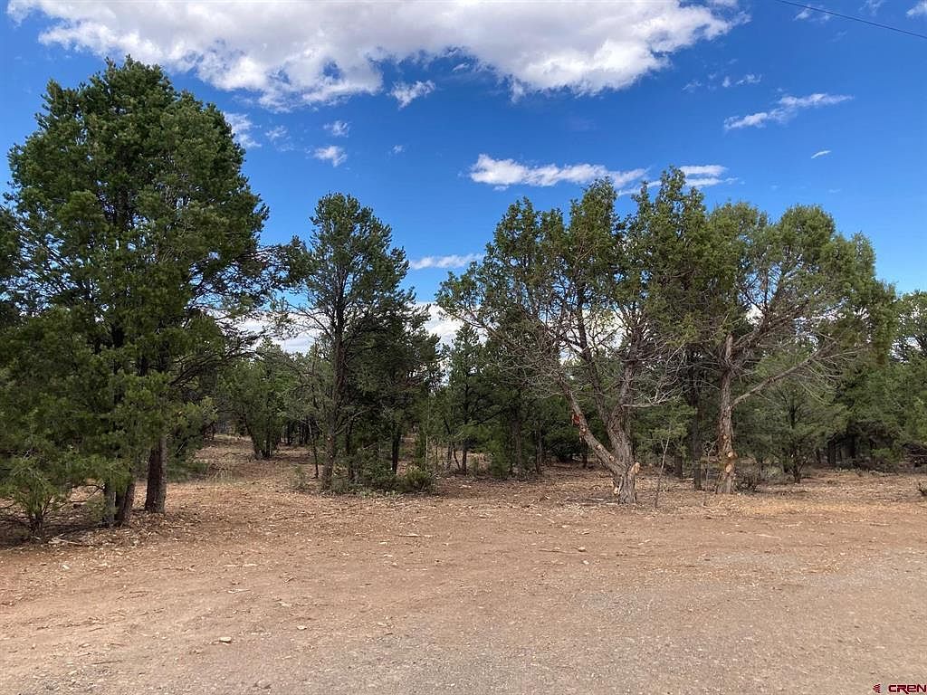 1 County Road 22b Montrose, CO 81403 - Thumbnail 3