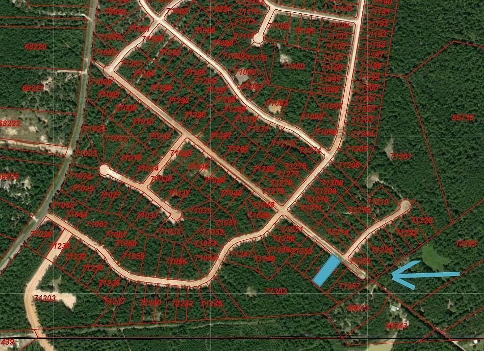 104 Coyote Run New Waverly, TX 77358 - Thumbnail 3