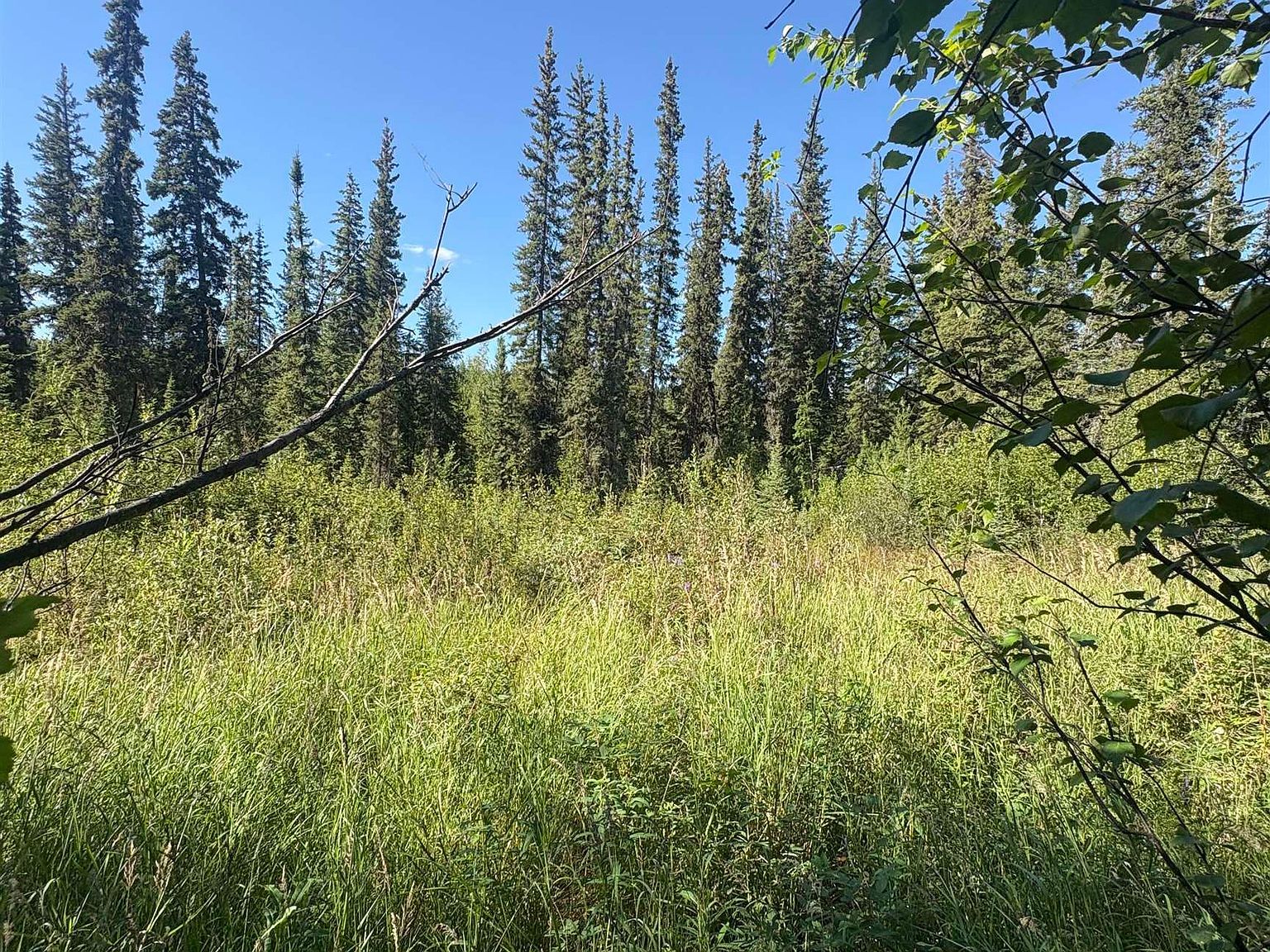 2820 Reliance Dr Fairbanks, AK 99709 - Thumbnail 3