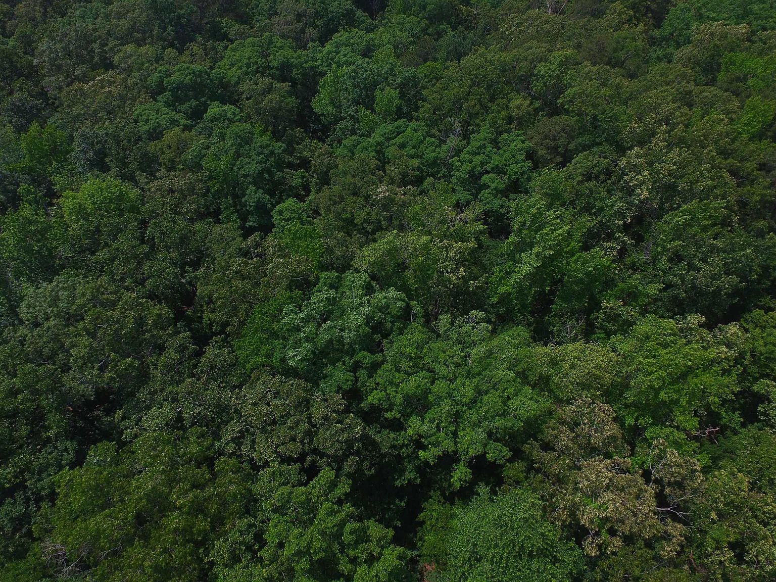 Highway 67 S Arkadelphia, AR 71923 - Thumbnail 3