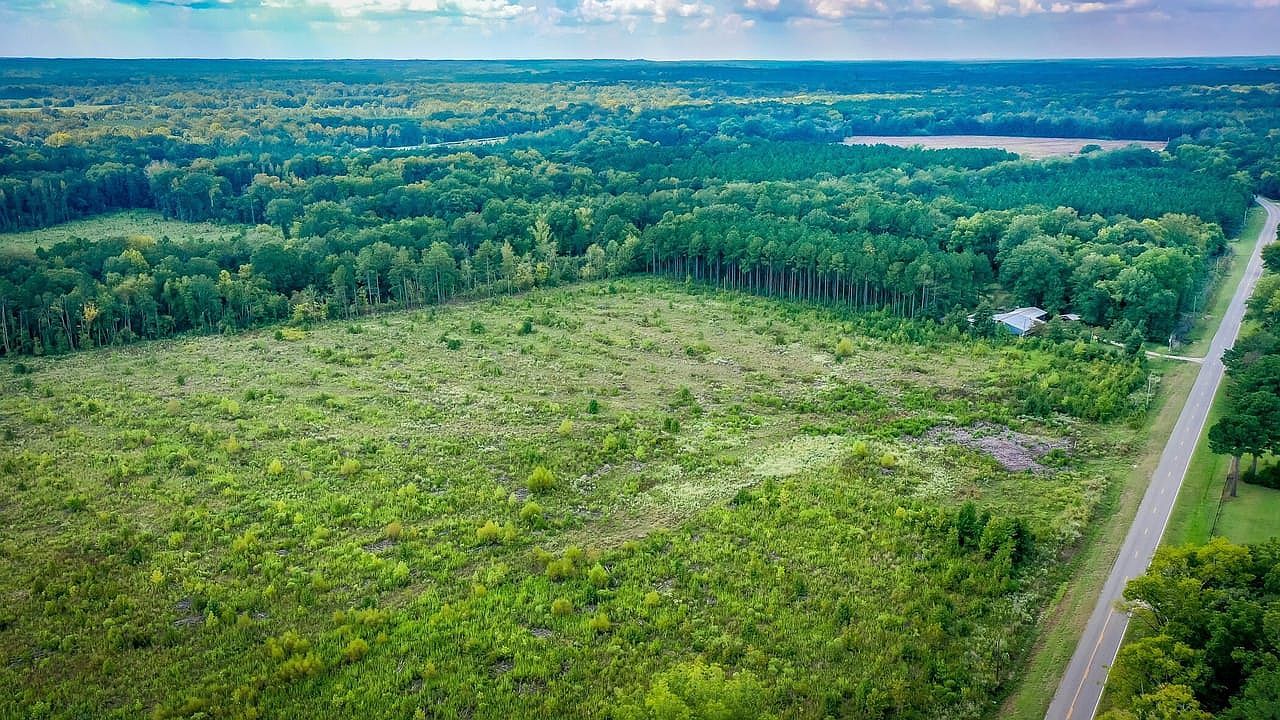 17866 State Highway 51 Arkadelphia, AR 71923 - Thumbnail 3