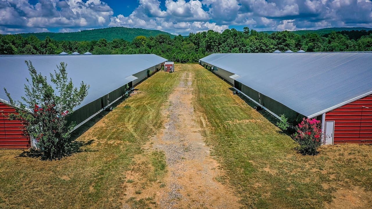 154 Bald Eagle Ln Mena, AR 71953 - Thumbnail 3