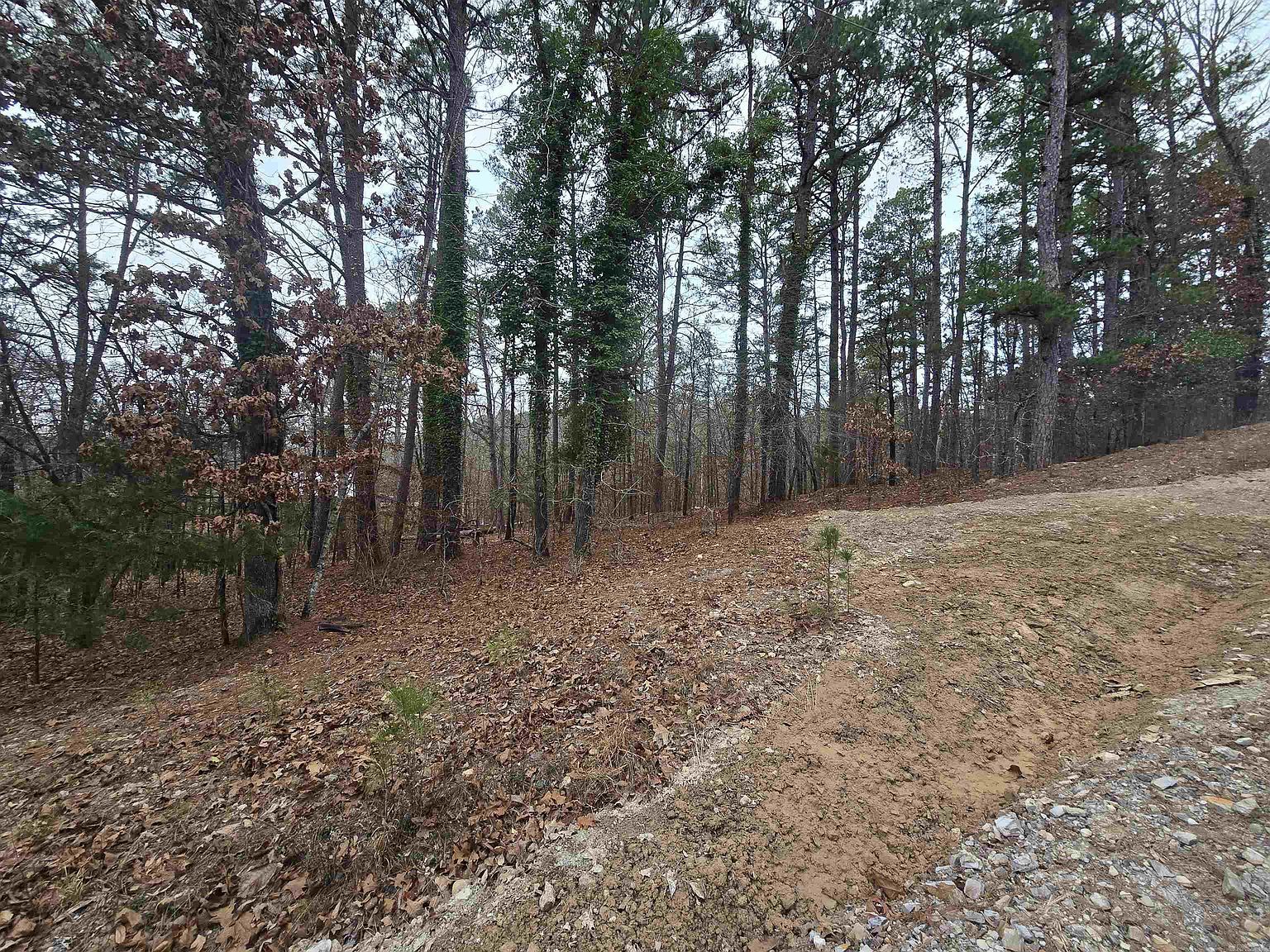 Doubloon Cir Hot Springs National Park, AR 71913 - Thumbnail 3