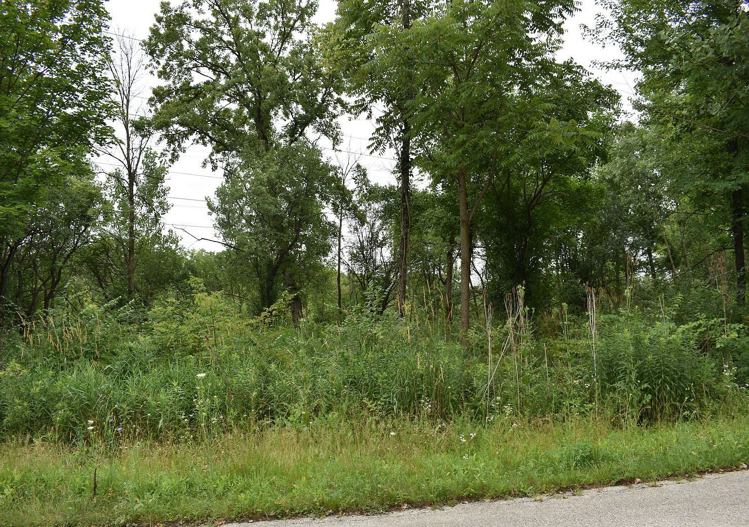 11665 Orchard Rd Willow Springs, IL 60480 - Thumbnail 3