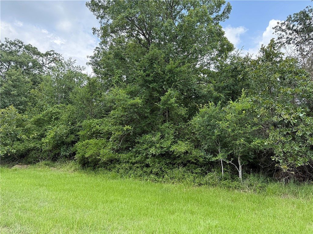 0 Lakewood Dr #96&97 Marquez, TX 77865 - Thumbnail 3