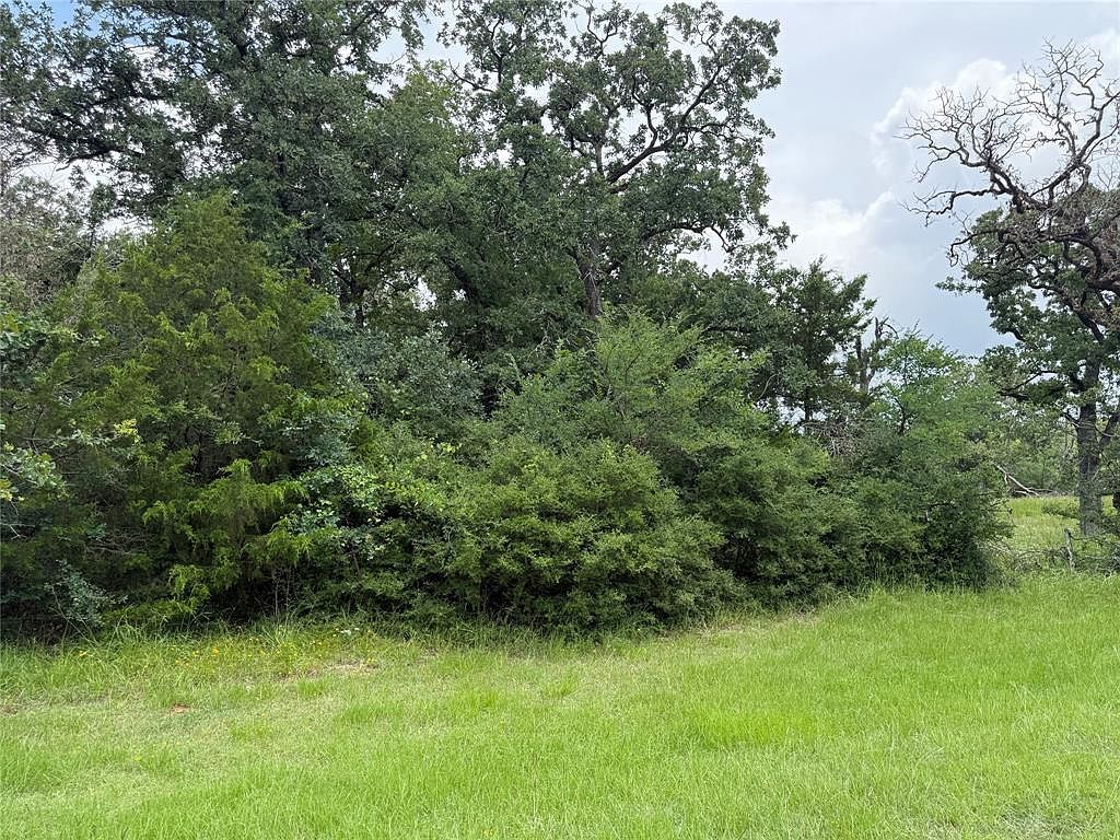 0 Lake Wood Dr Marquez, TX 77865 - Thumbnail 3