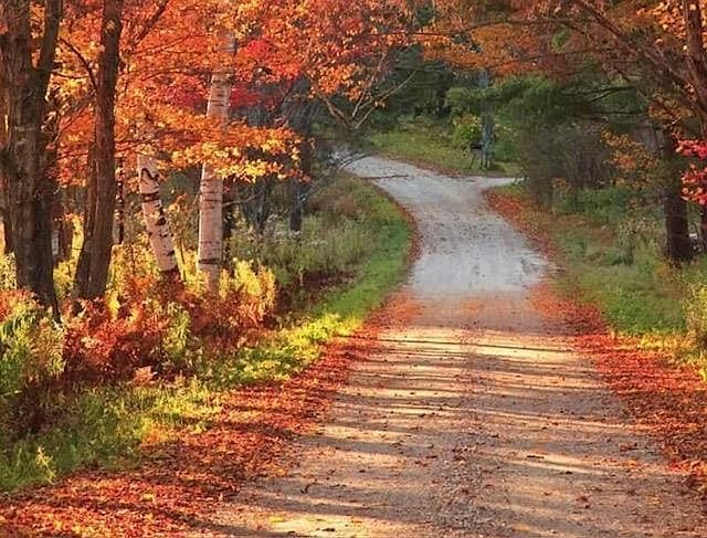 29 Markham Ln Weston, VT 05161 - Thumbnail 3