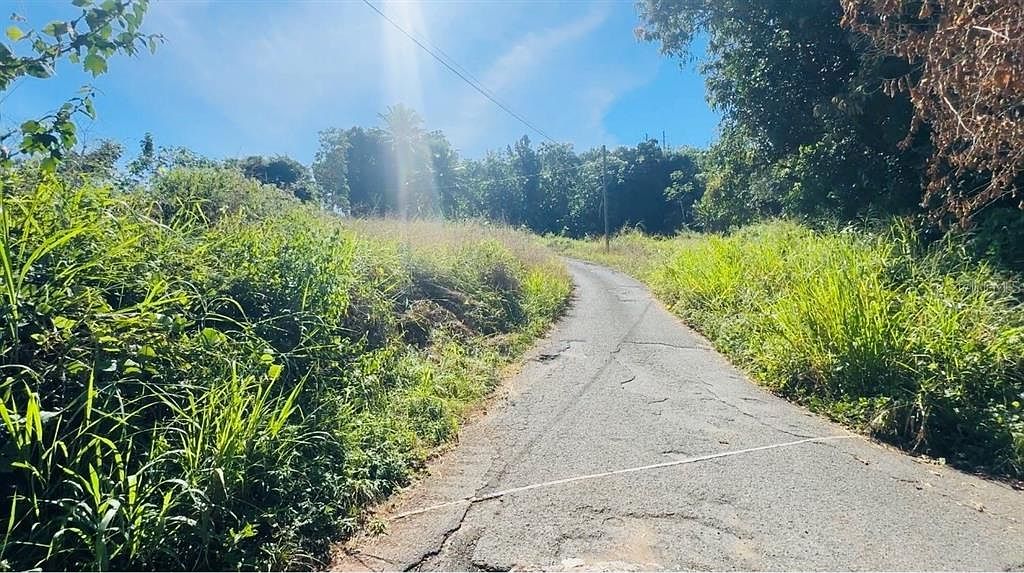 Bo Naranjo Carretera 2 Km 138.2 Int Aguada, PR 00602  | Land/Lot