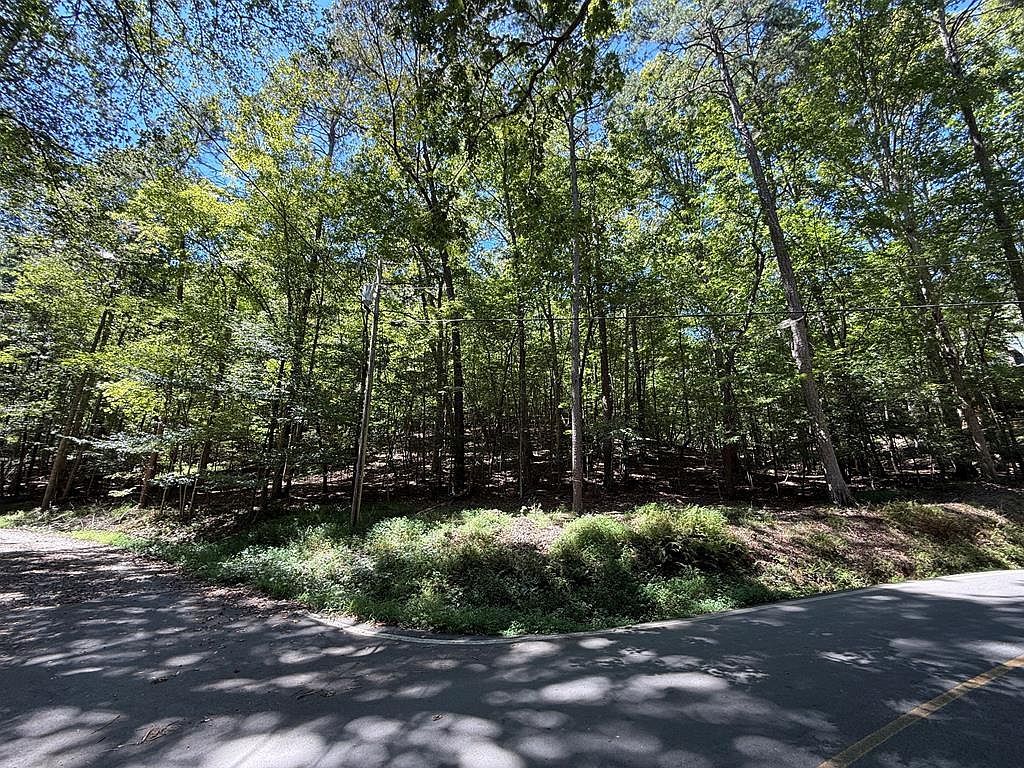 137R/135 Shiloh Ln Ellijay, GA 30540 - Thumbnail 3