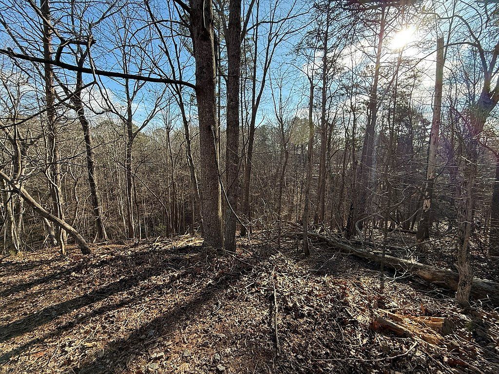 715/716 Hilary Ct Ellijay, GA 30540 - Thumbnail 3