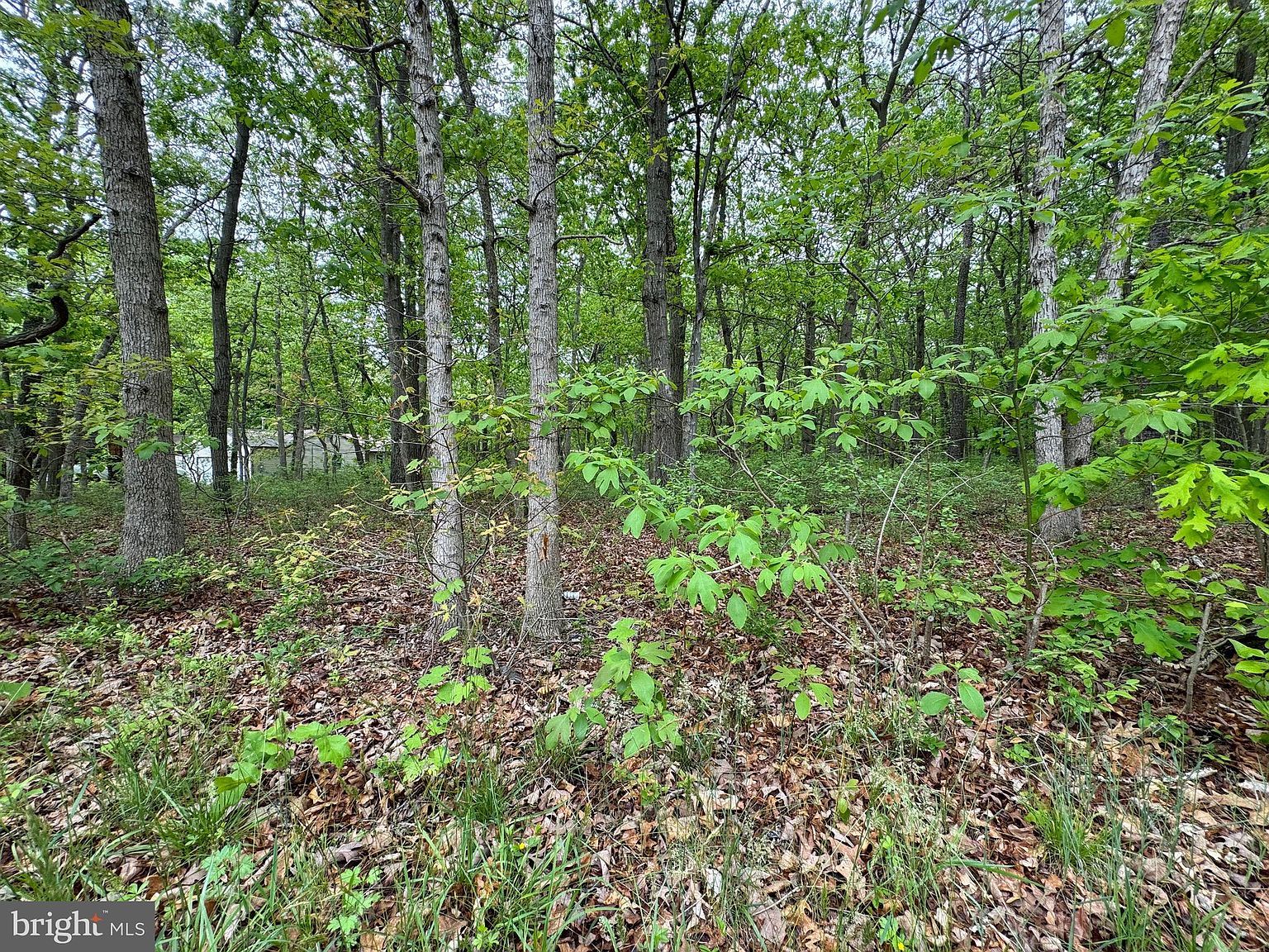 L15-02 S Ash Ave Absecon, NJ 08205 - Thumbnail 3