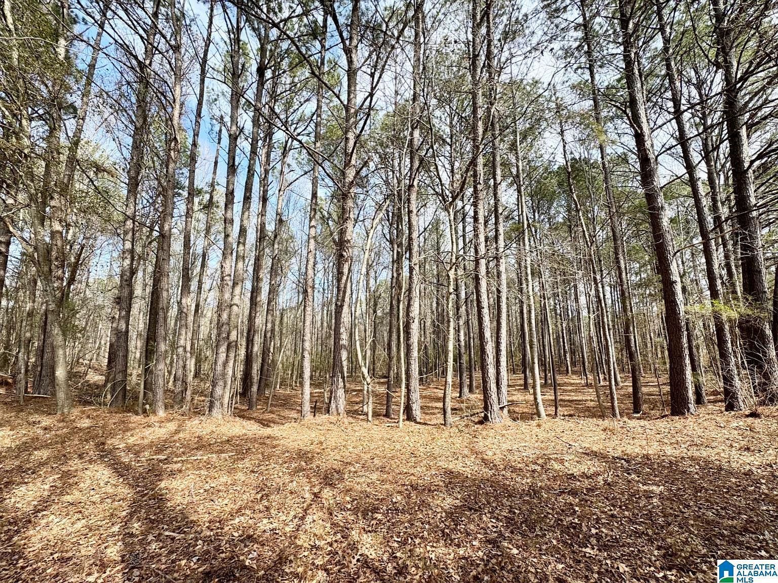 0 Fairway Dr #8 Roanoke, AL 36274 - Thumbnail 3