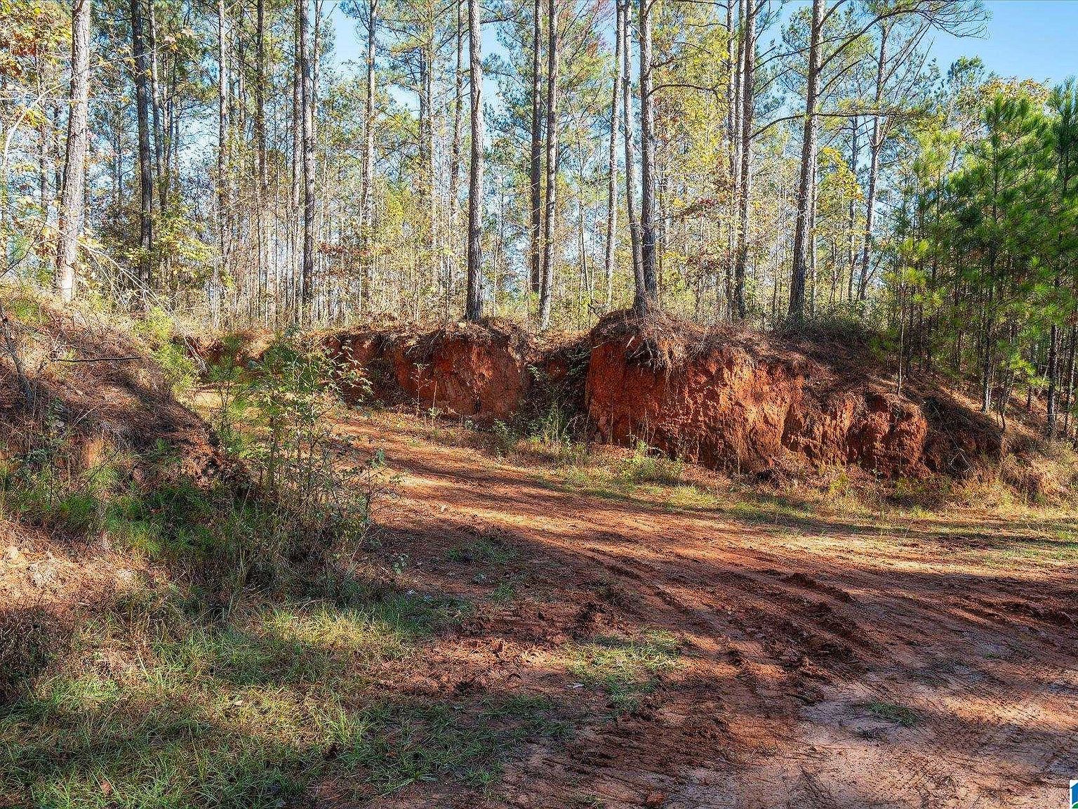 0 County Road 632 Roanoke, AL 36274 - Thumbnail 3