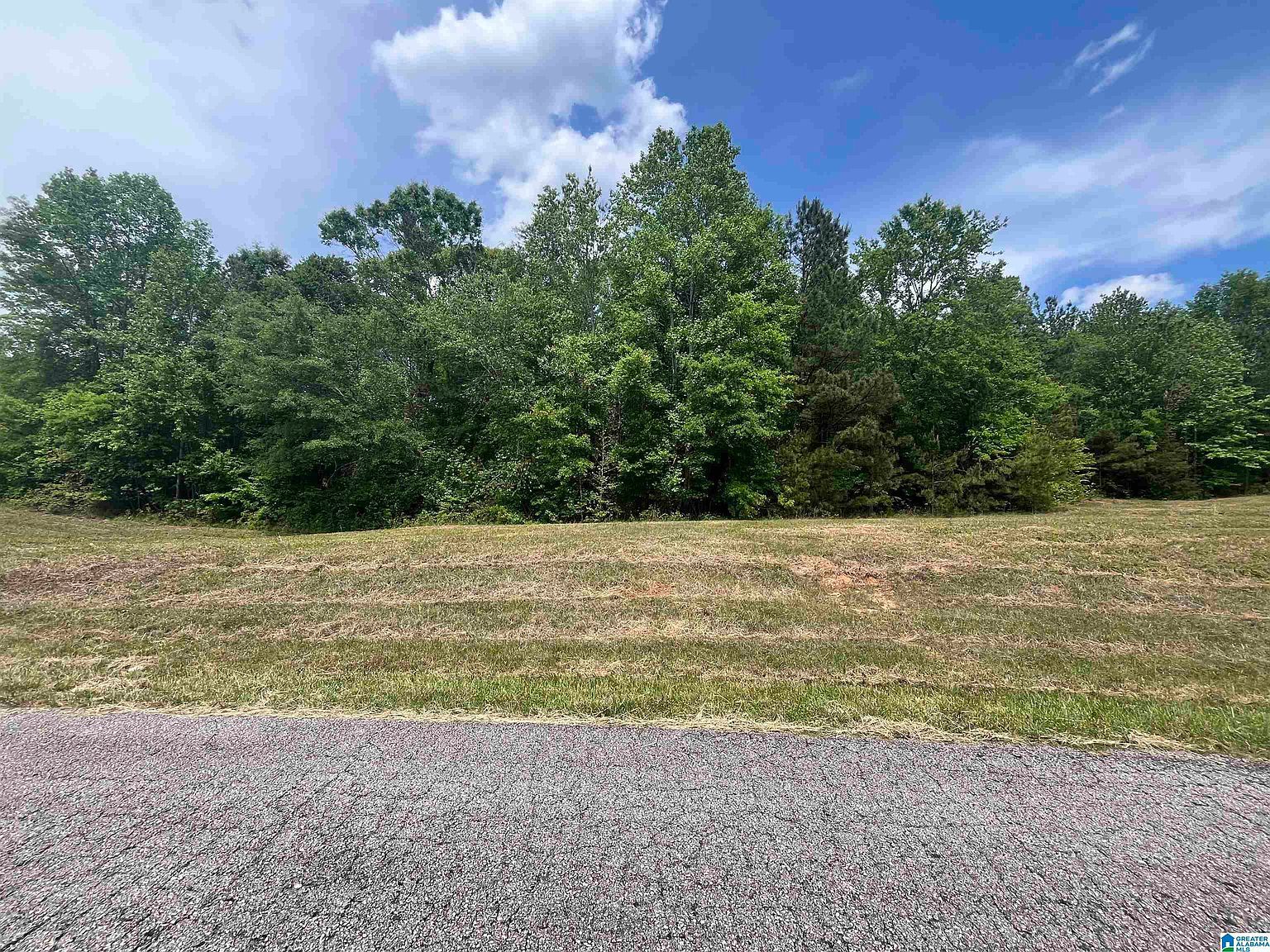 13 Mary Dr Roanoke, AL 36274 - Thumbnail 3