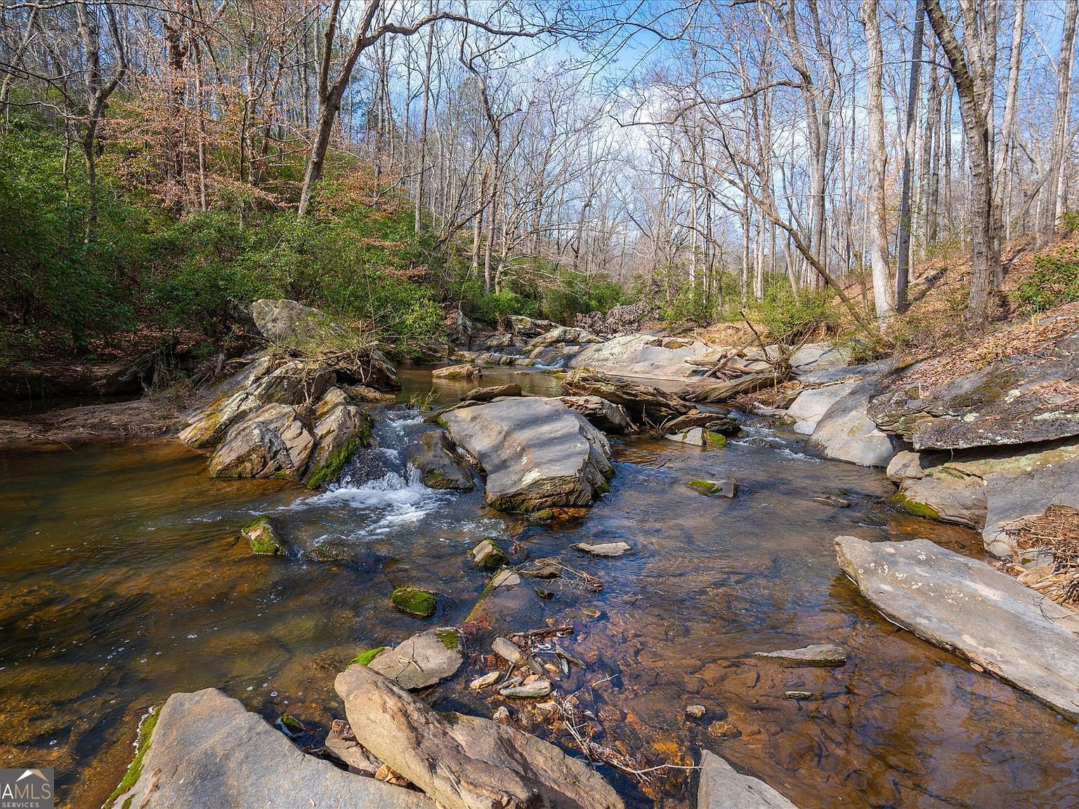 262 Jackson Shoals Rd Franklin, GA 30217 - Thumbnail 3