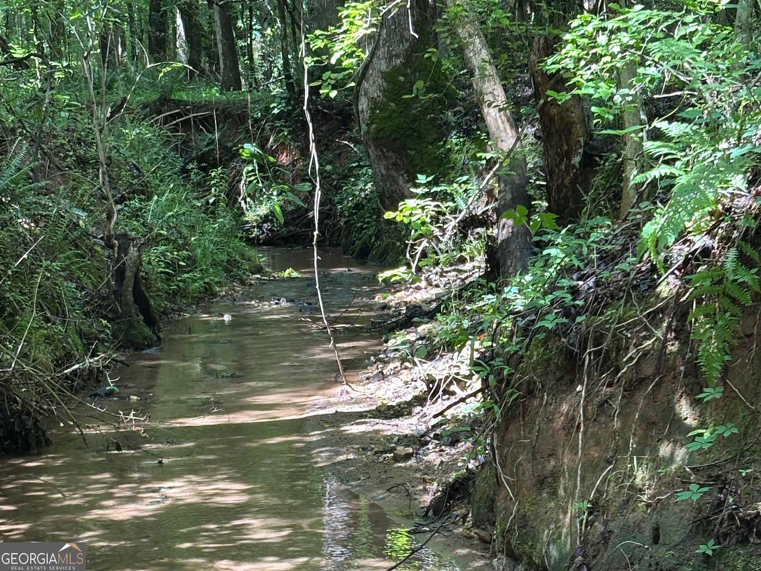 0 County Road 85 Lanett, AL 36863 - Thumbnail 3