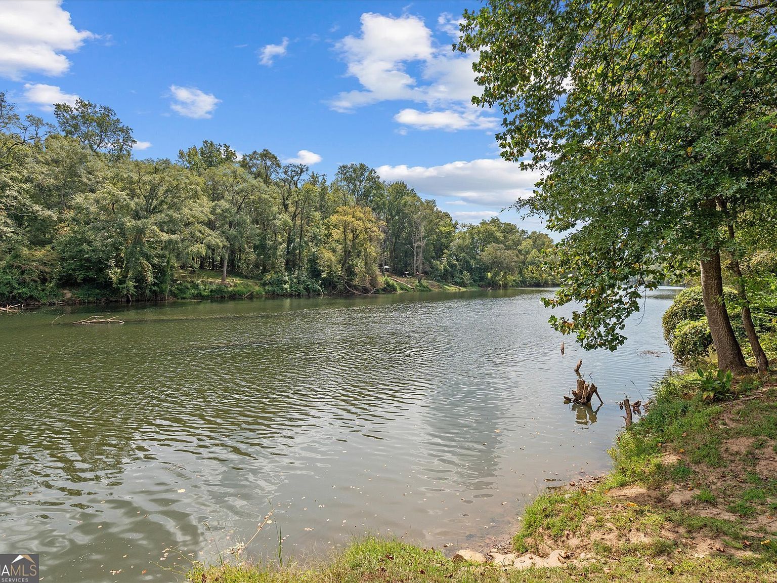 14456 County Road 62 Wadley, AL 36276 - Thumbnail 3