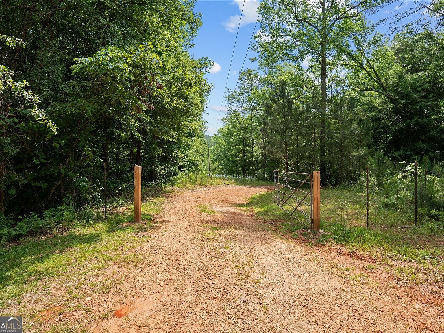 1461 County Road 499 Woodland, AL 36280 - Thumbnail 3