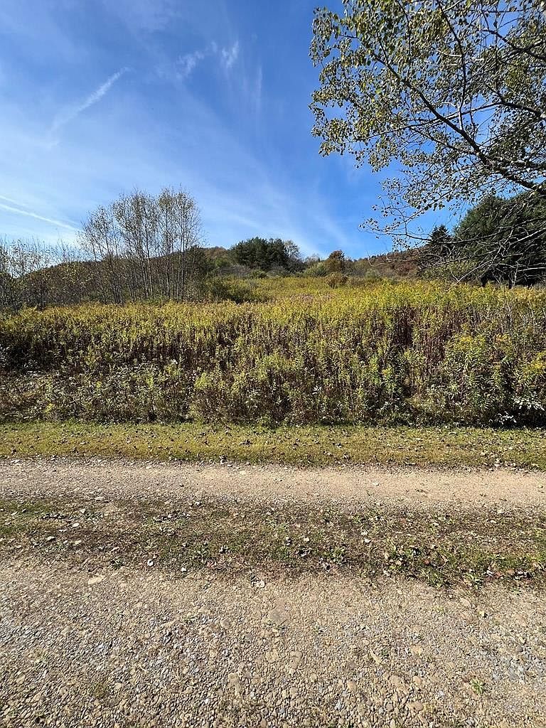 32 Phoebe Ln Coudersport, PA 16915 - Thumbnail 3