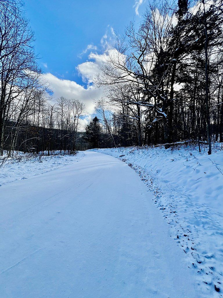 0 Brizzee Hollow Rd Genesee, PA 16923 - Thumbnail 3