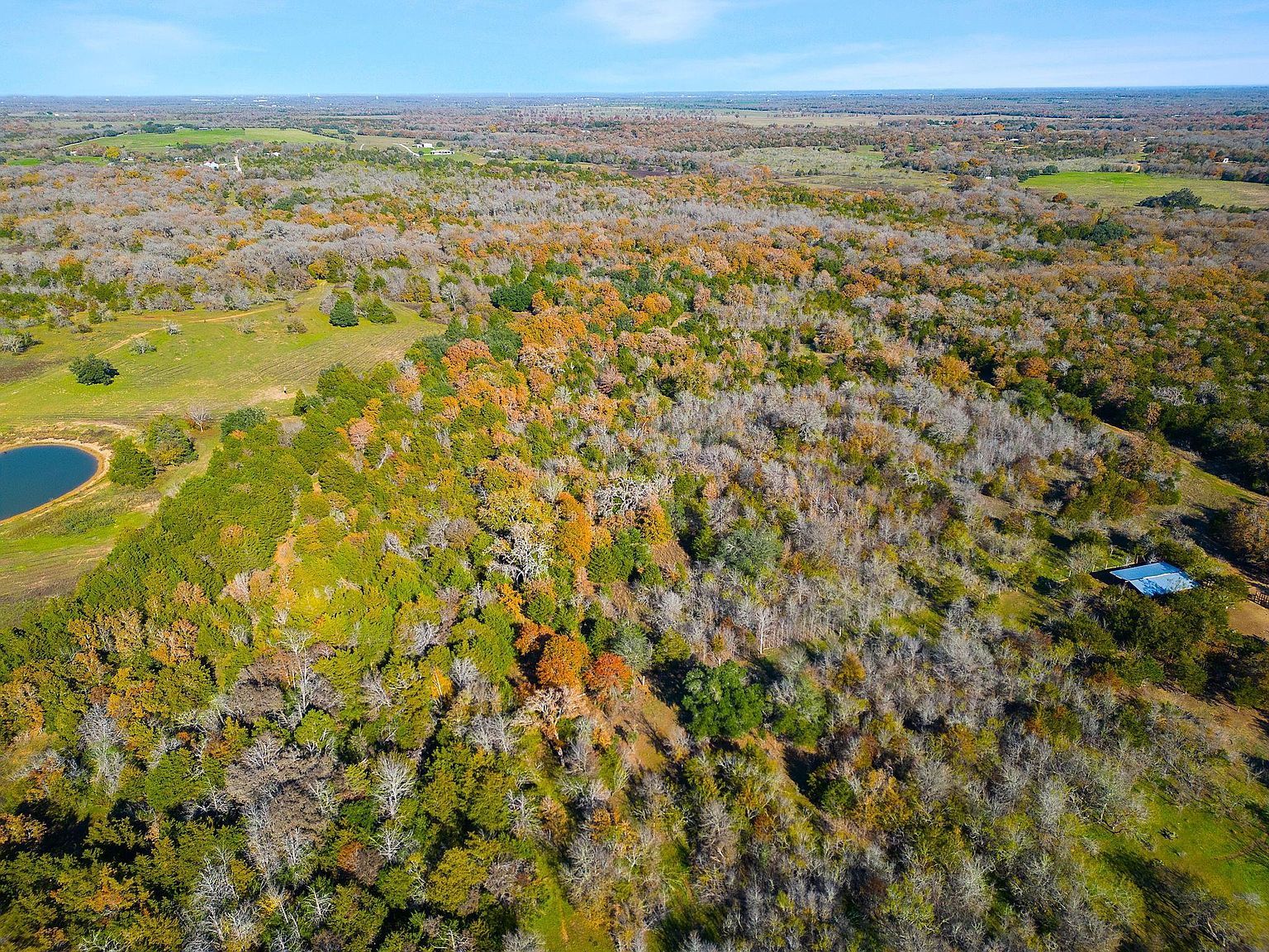 272 Deadwood Rd, Cedar Creek, TX, 78612 - Thumbnail 3