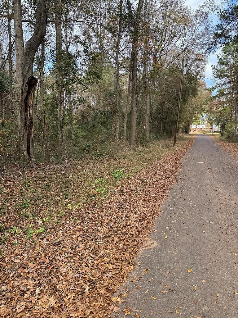 Pine St Chireno, TX 75937 - Thumbnail 3