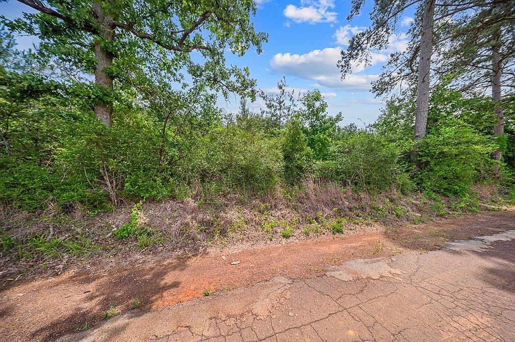 2405 County Road 779 Nacogdoches, TX 75961 - Thumbnail 3