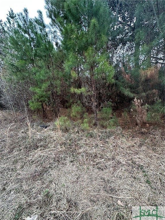 385 Shearwood Rd Guyton, GA 31312 - Thumbnail 3