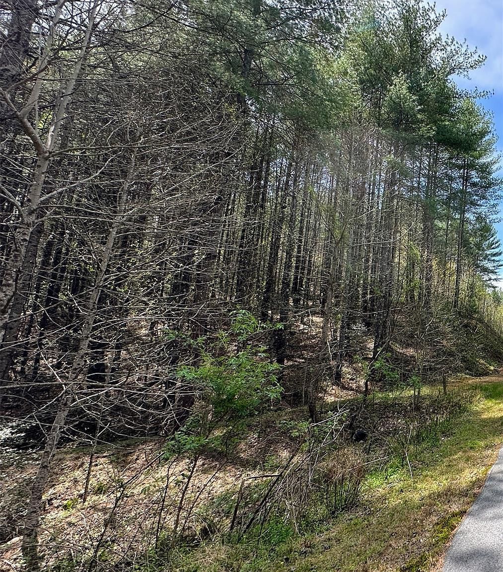 0 National Forest Dr #132 Lenoir, NC 28645 - Thumbnail 3