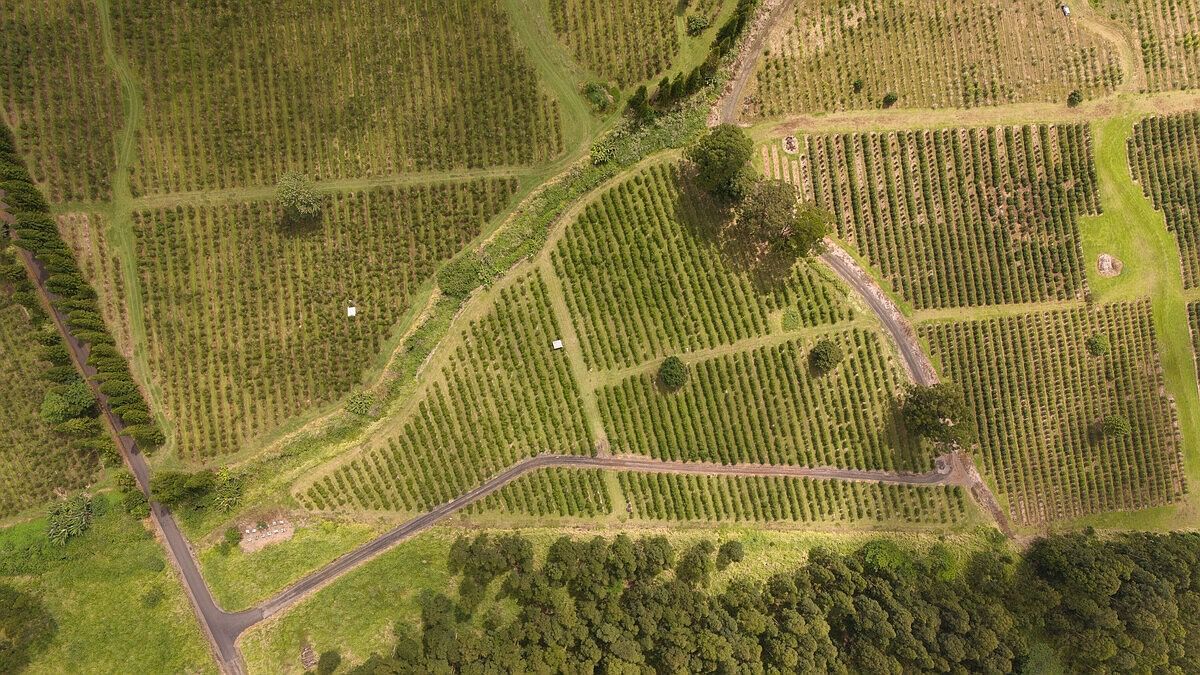 Kamaile Pahala, HI 96777 - Thumbnail 3